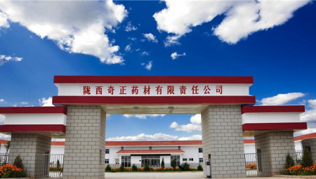 陇西南宫电子游戏