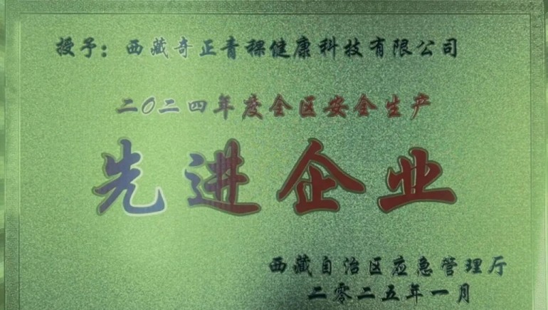 南宫电子游戏青稞荣获“西藏自治区安全出产先进企业”称号